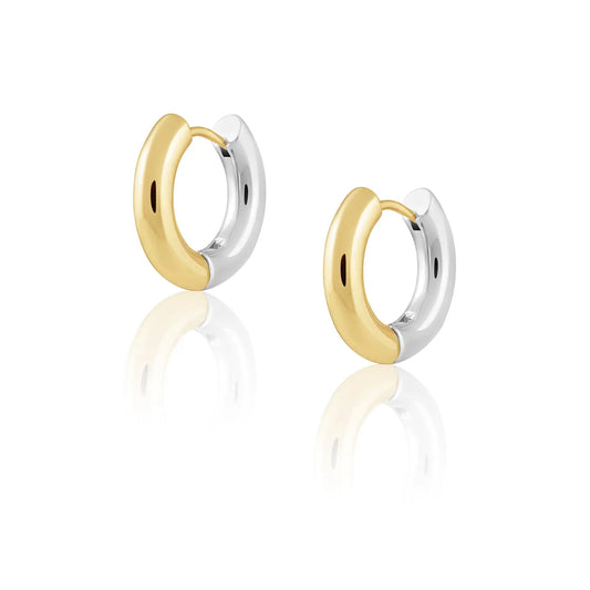 Two Tone Hoops